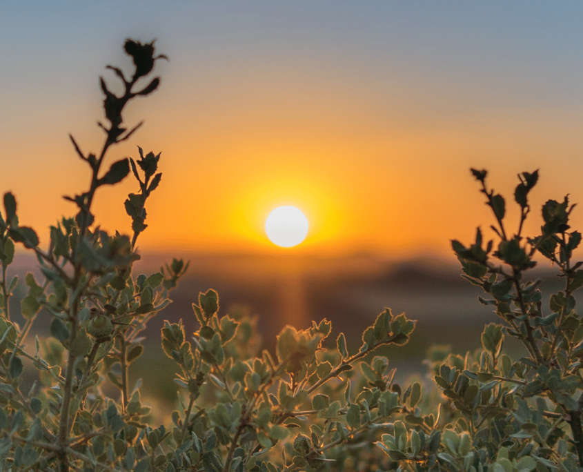 De omgeving van Heeze