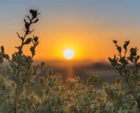 Hofwoningen primary icon